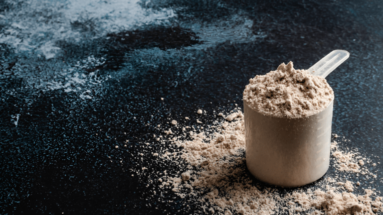 What is the best protein powder