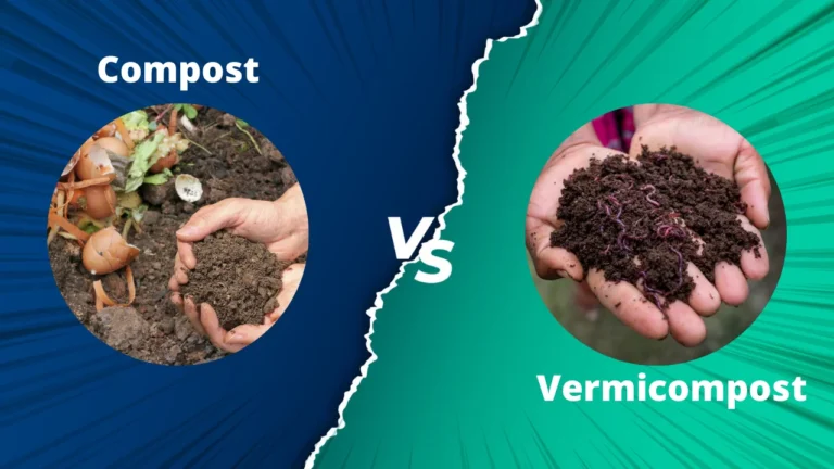 Is too much vermicompost bad for plants.