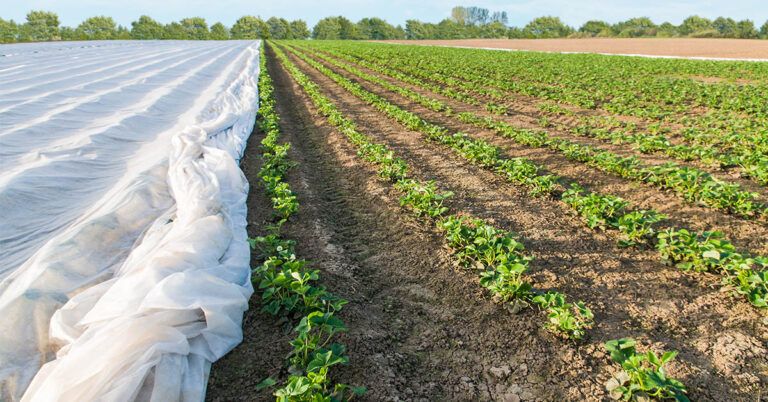 Uses to crop cover and fruit cover