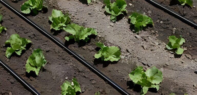 Uses to drip irrigation fitting
