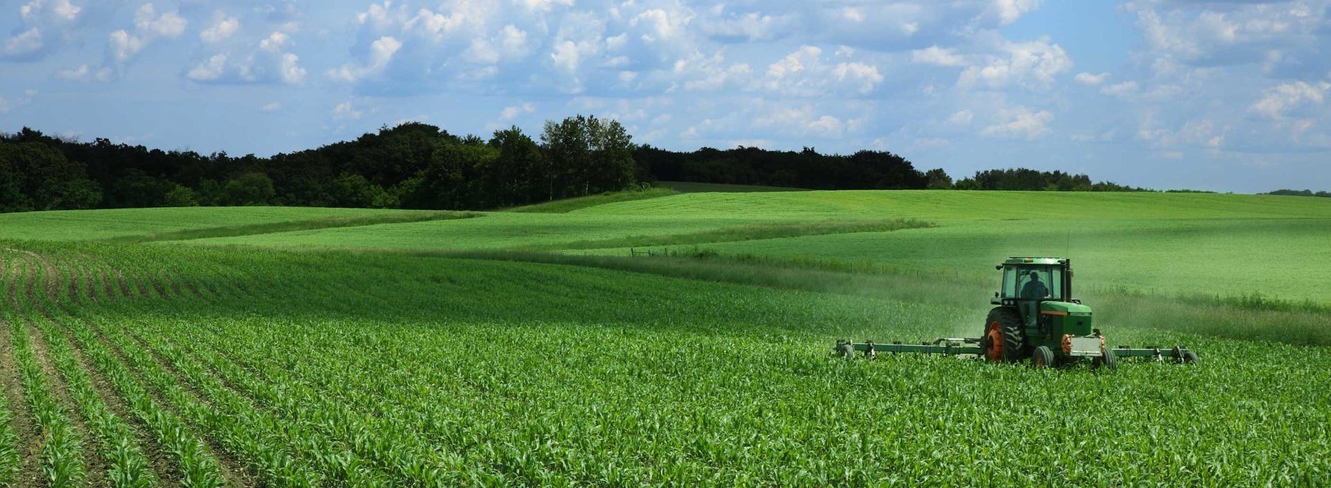 How Vermicomposting Is Beneficial For Sustainable Agriculture ...